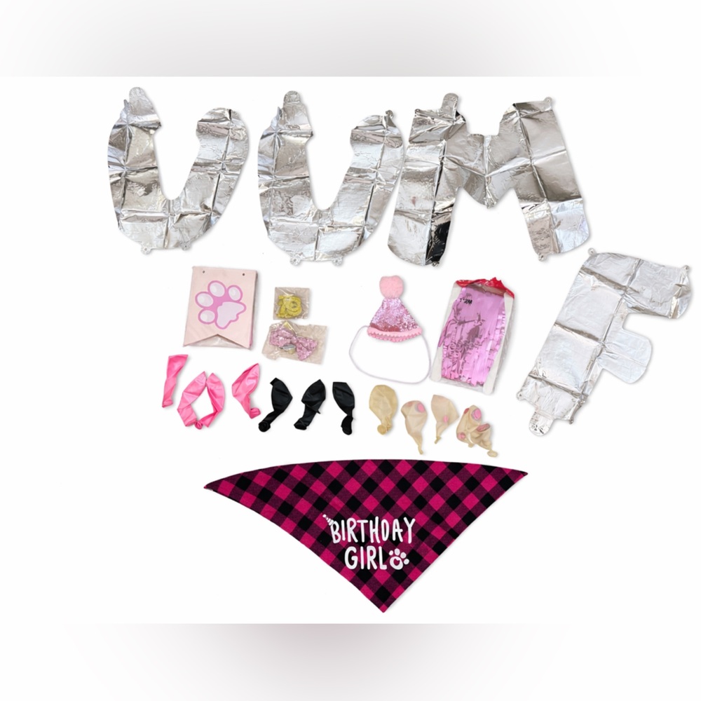 Silver and Pink Birthday Girl Party Set